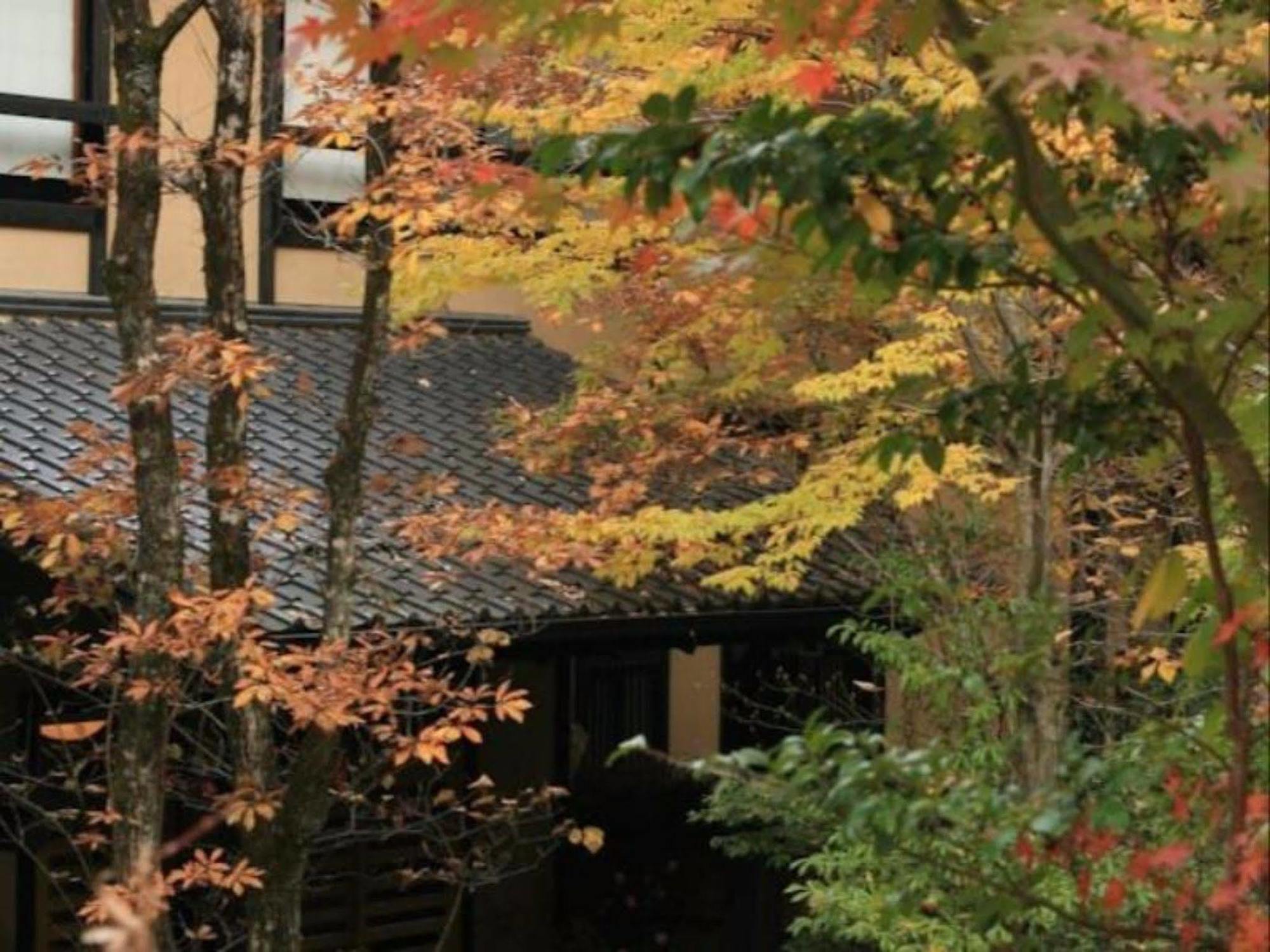 Ryokan Wakaba Minamioguni Extérieur photo